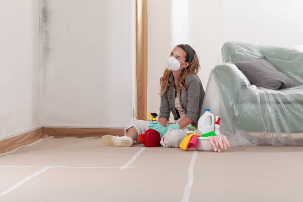 Reliable Mold Removal contractor in Holland, TX by WQB Mold Removal